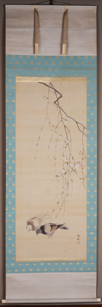 �����@�������@Seiko Okajima�^�w�����o���x