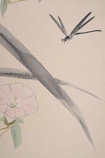 �E�@�i���@Oshi Keisui�^�������x�@A morning glory and a dragon fly 