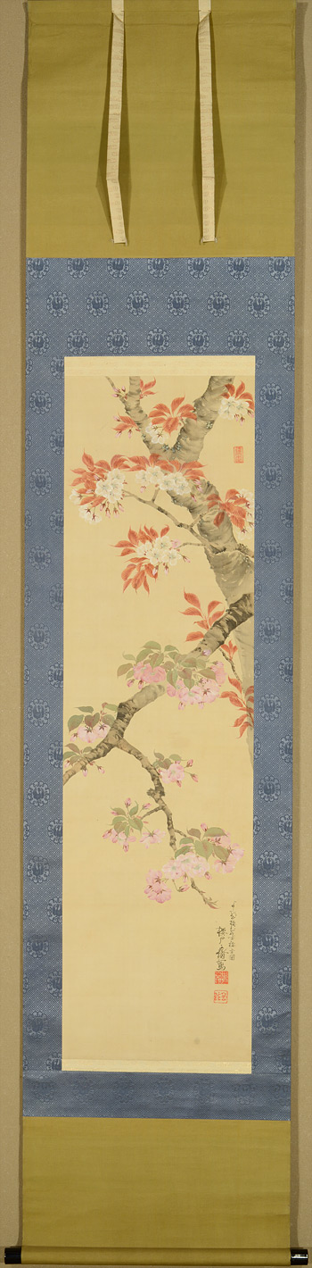 �N�ˁ@�ʏ��@Sakurato Tamao�^�w�g��N�E���ӂ��N�x